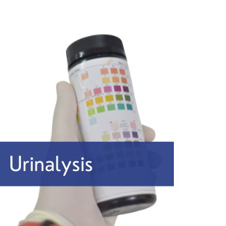 Urinalysis